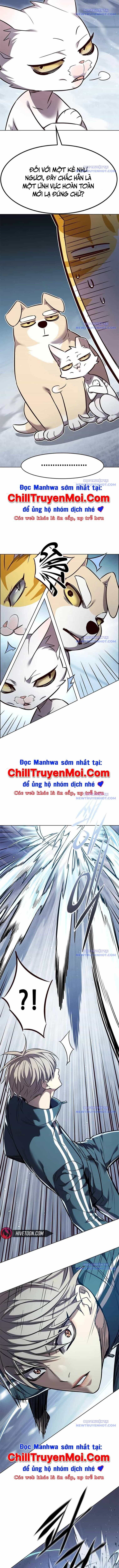 Hoá Thân Thành Mèo - Chương 343 - ảnh 13