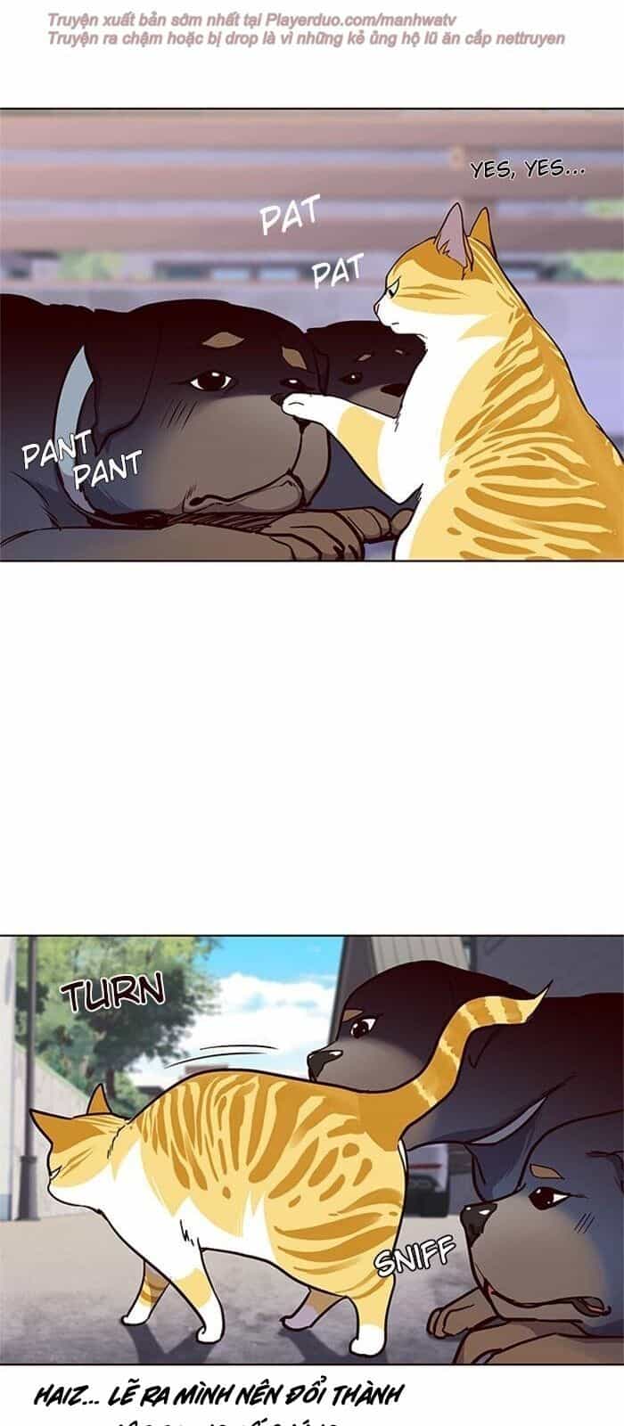 Hoá Thân Thành Mèo - Chương 36 - ảnh 130
