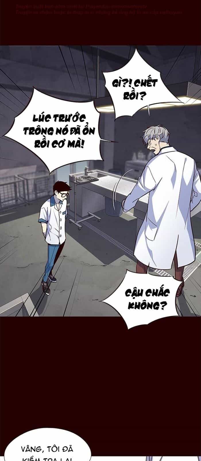 Hoá Thân Thành Mèo - Chương 36 - ảnh 42