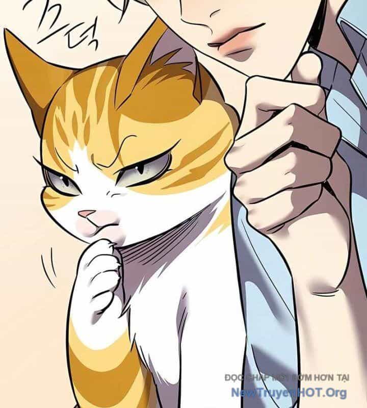 Hoá Thân Thành Mèo - Chương 370 - ảnh 115
