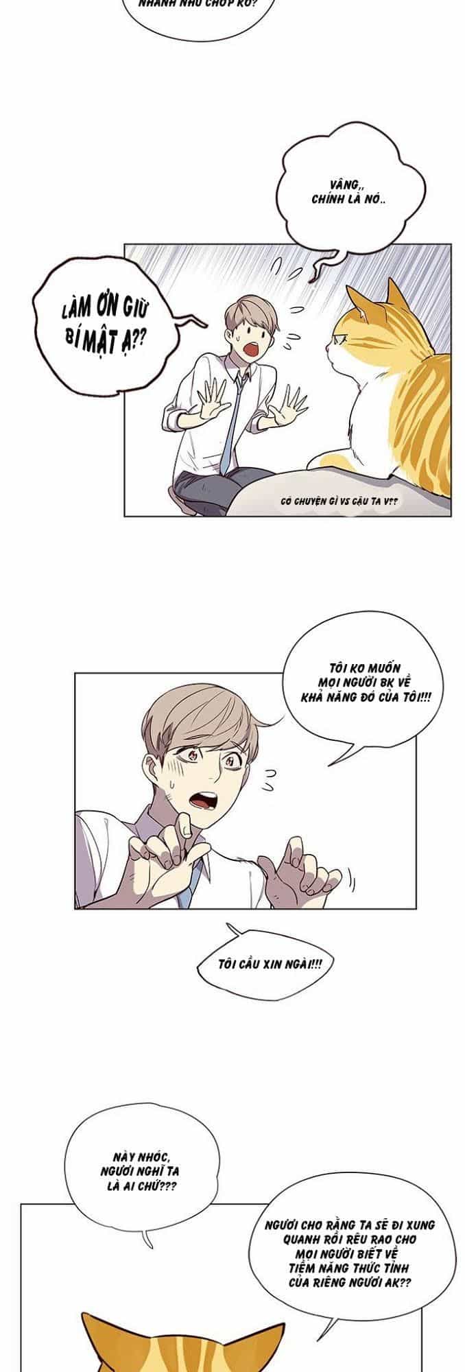 Hoá Thân Thành Mèo - Chương 4 - ảnh 14