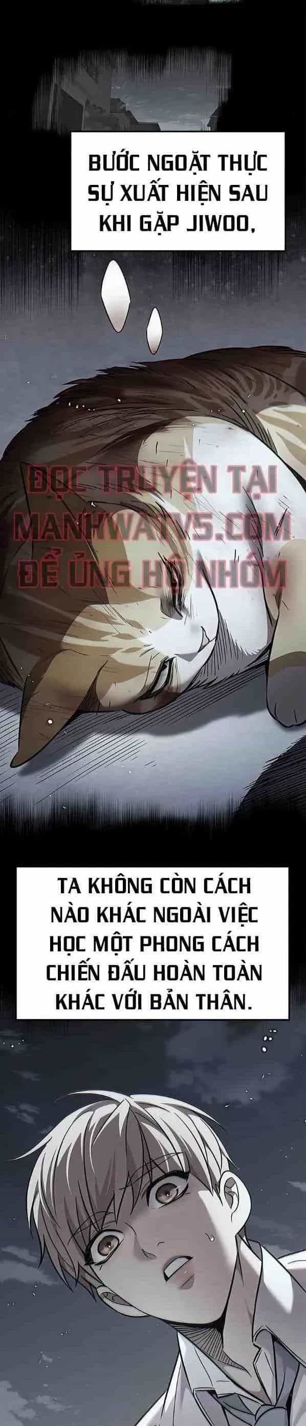 Hoá Thân Thành Mèo - Chương 385 - ảnh 4