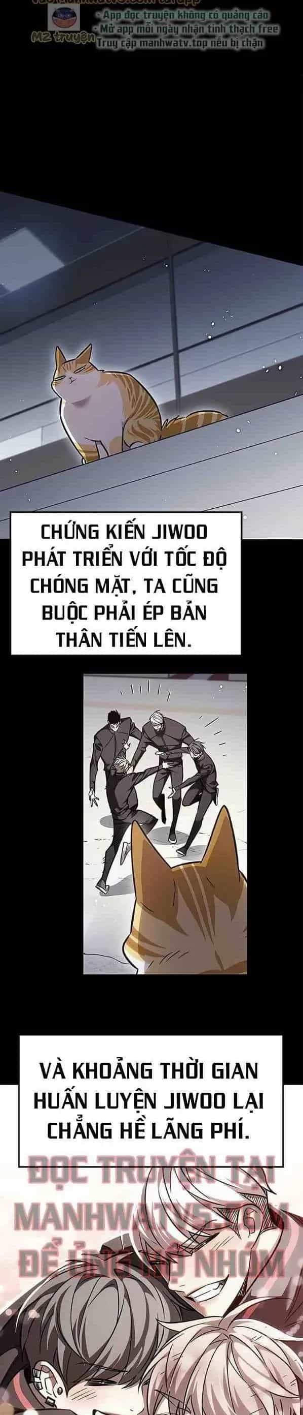 Hoá Thân Thành Mèo - Chương 385 - ảnh 9