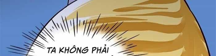 Hoá Thân Thành Mèo - Chương 41 - ảnh 67