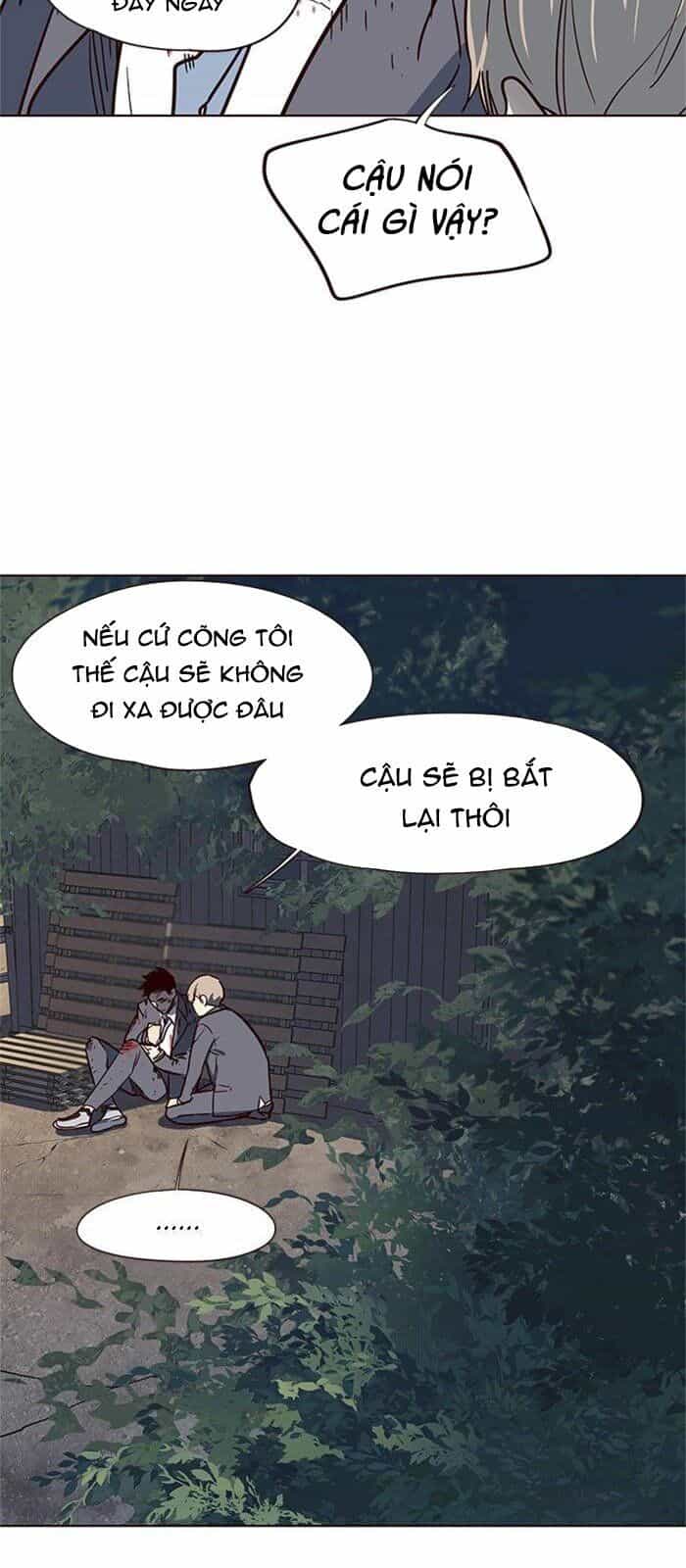 Hoá Thân Thành Mèo - Chương 42 - ảnh 86