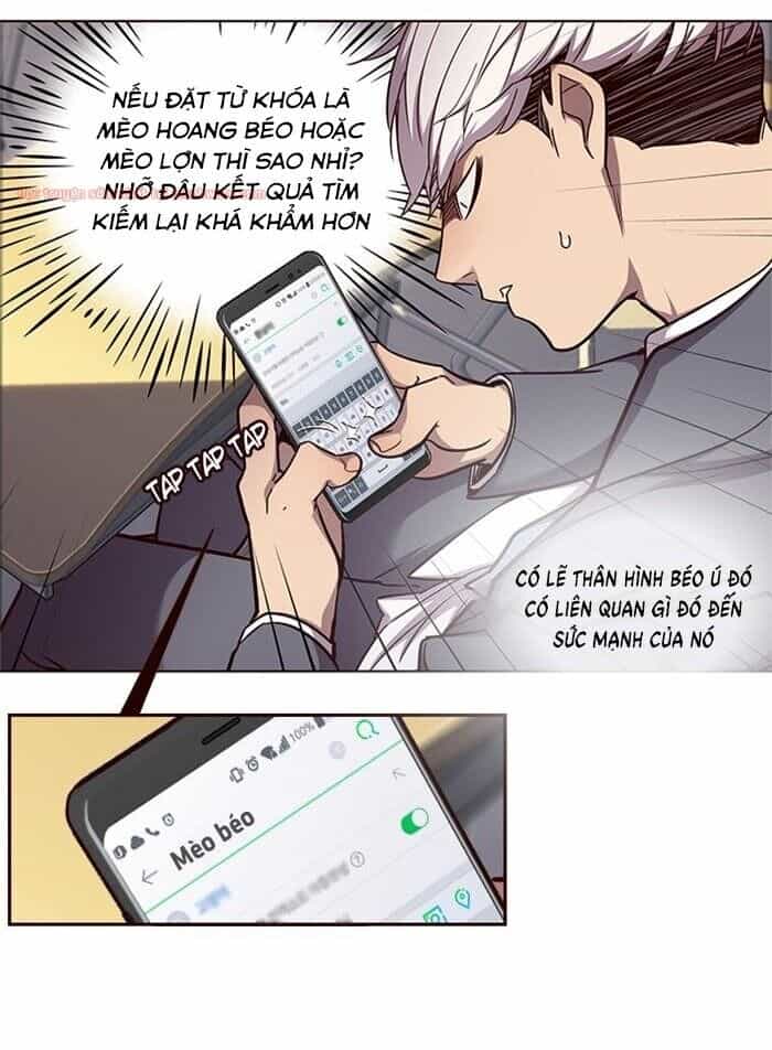 Hoá Thân Thành Mèo - Chương 48 - ảnh 17