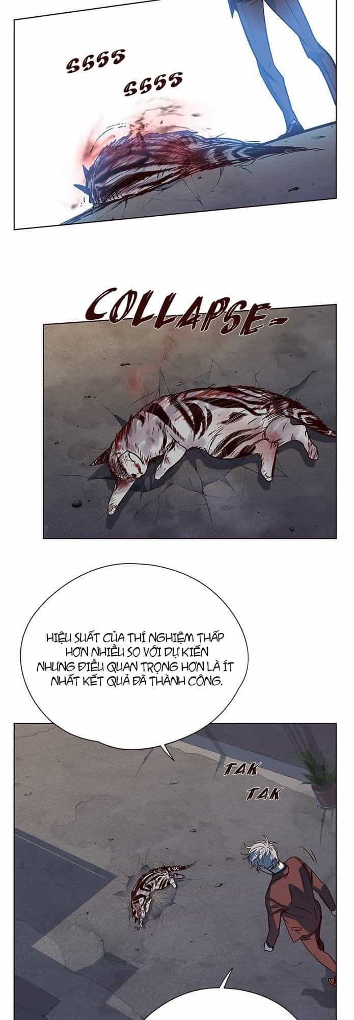 Hoá Thân Thành Mèo - Chương 5 - ảnh 42