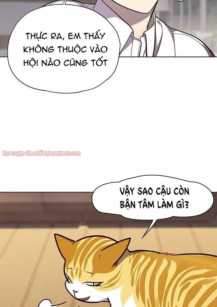 Hoá Thân Thành Mèo - Chương 51 - ảnh 27