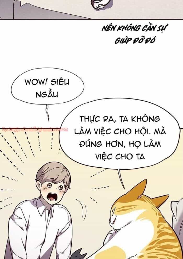 Hoá Thân Thành Mèo - Chương 51 - ảnh 32