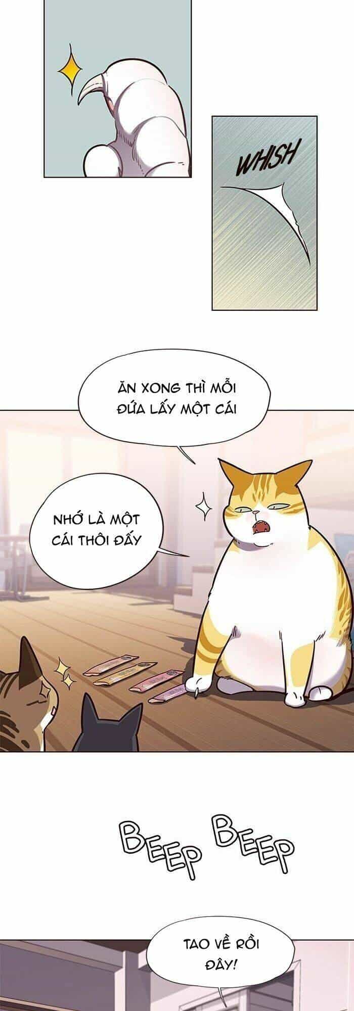 Hoá Thân Thành Mèo - Chương 56 - ảnh 43