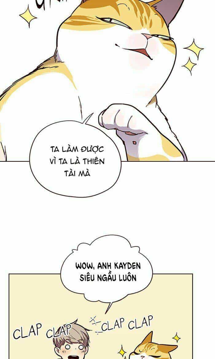 Hoá Thân Thành Mèo - Chương 64 - ảnh 63