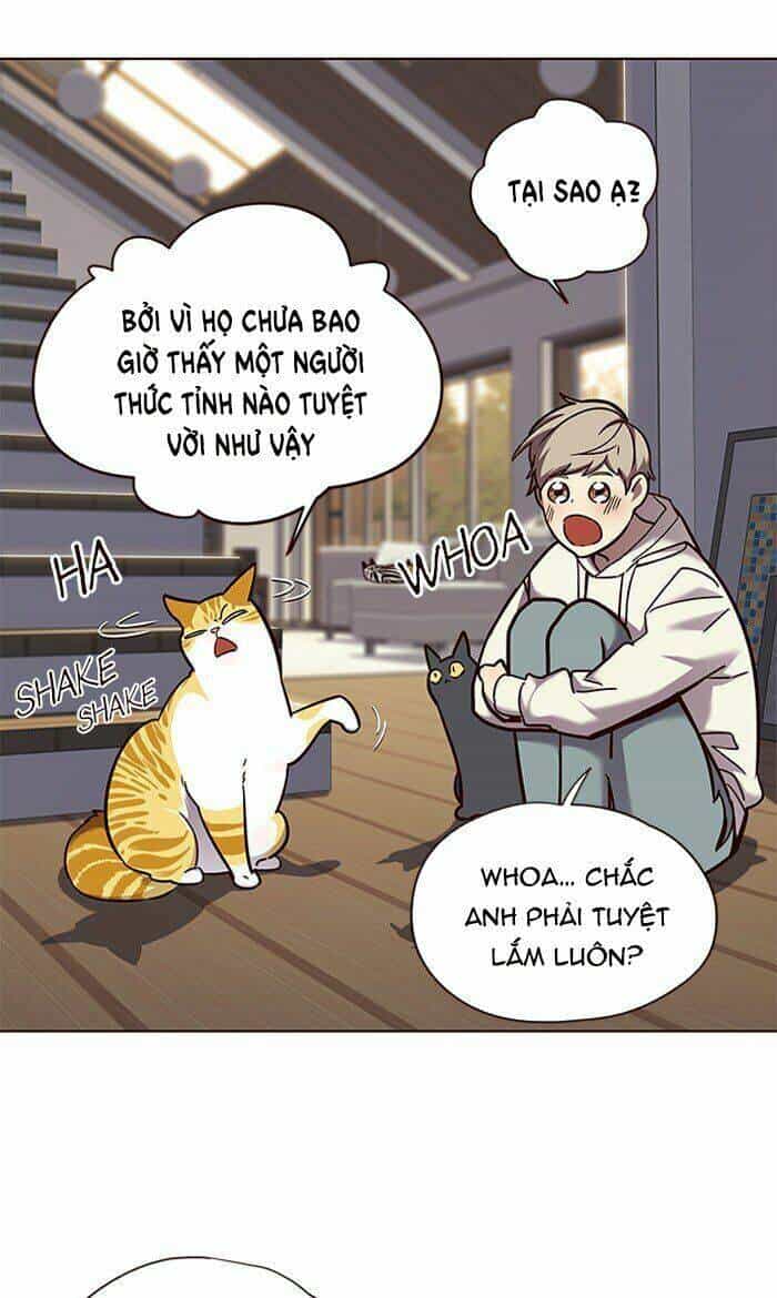 Hoá Thân Thành Mèo - Chương 64 - ảnh 65