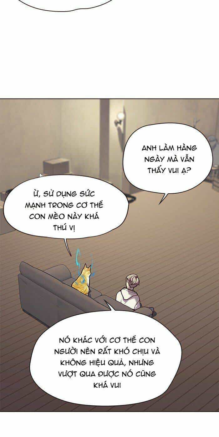 Hoá Thân Thành Mèo - Chương 65 - ảnh 22