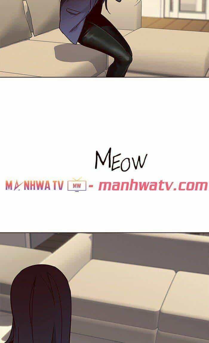 Hoá Thân Thành Mèo - Chương 65 - ảnh 33