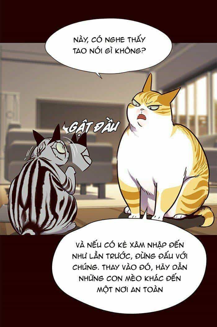 Hoá Thân Thành Mèo - Chương 67 - ảnh 40