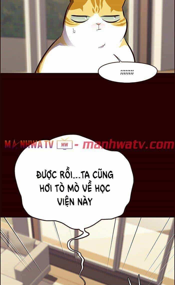 Hoá Thân Thành Mèo - Chương 67 - ảnh 67