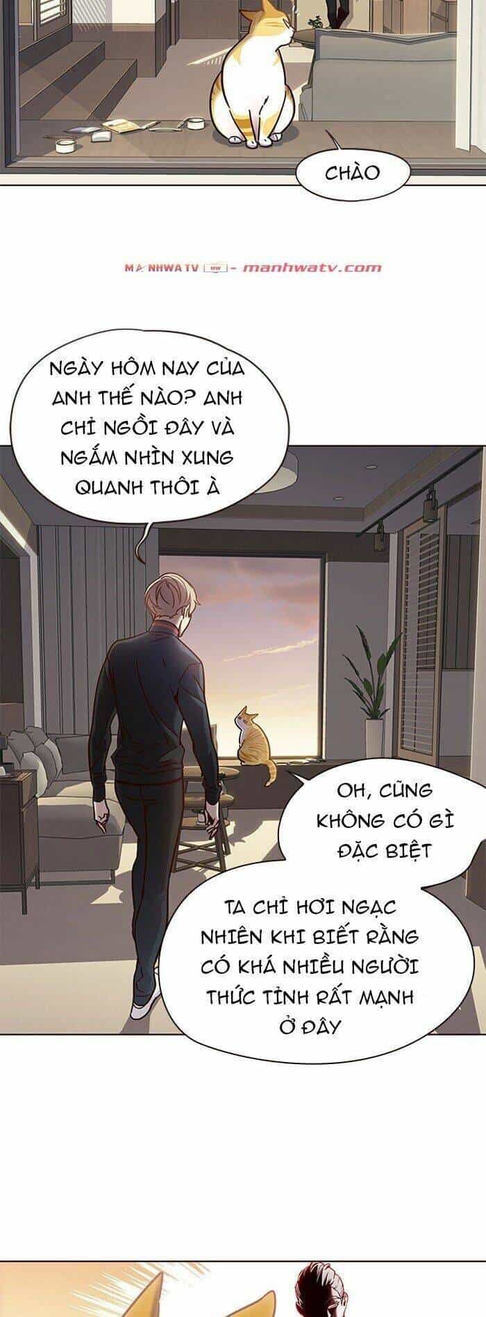 Hoá Thân Thành Mèo - Chương 72 - ảnh 65