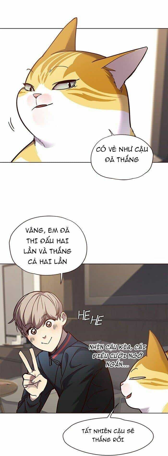 Hoá Thân Thành Mèo - Chương 72 - ảnh 67