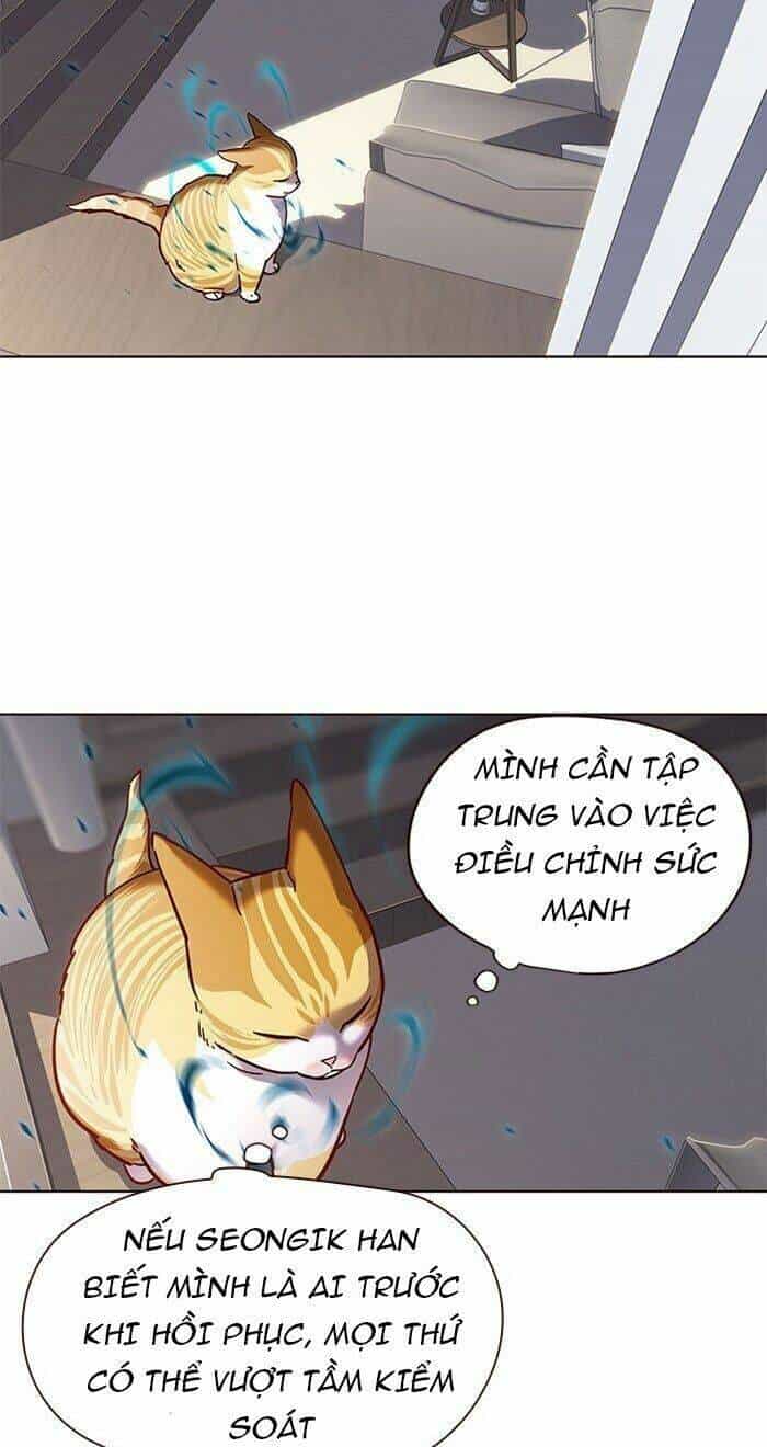 Hoá Thân Thành Mèo - Chương 73 - ảnh 23
