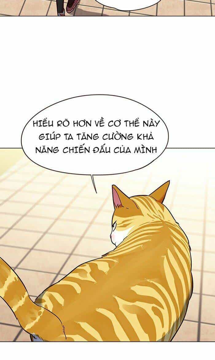 Hoá Thân Thành Mèo - Chương 80 - ảnh 49