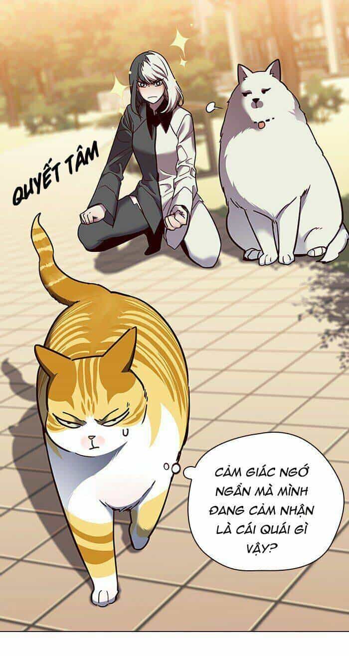 Hoá Thân Thành Mèo - Chương 81 - ảnh 11