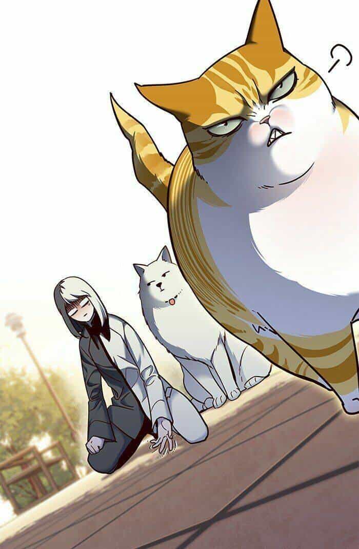 Hoá Thân Thành Mèo - Chương 81 - ảnh 3