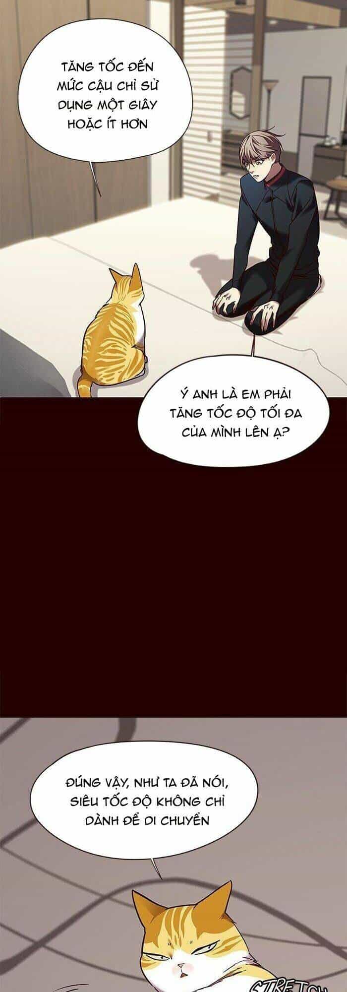 Hoá Thân Thành Mèo - Chương 87 - ảnh 41