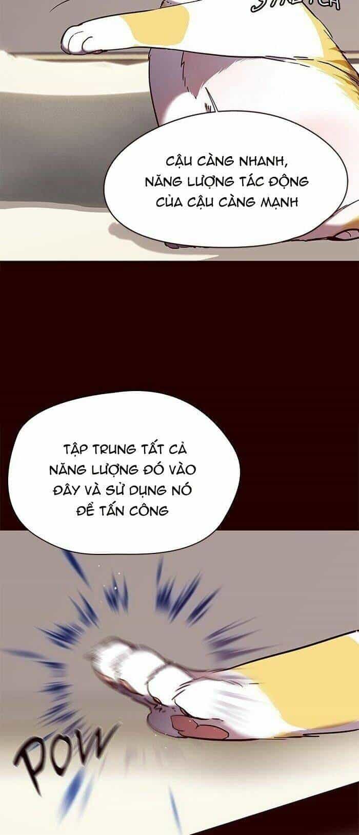 Hoá Thân Thành Mèo - Chương 87 - ảnh 42