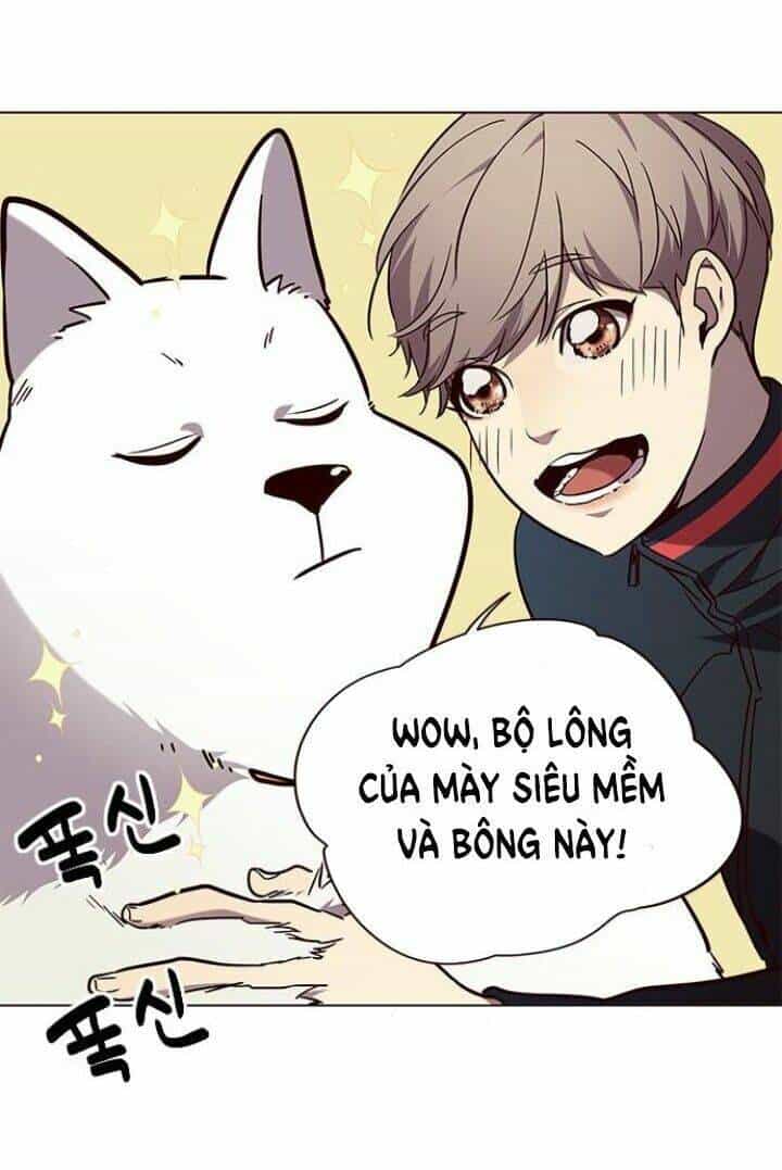 Hoá Thân Thành Mèo - Chương 90 - ảnh 49