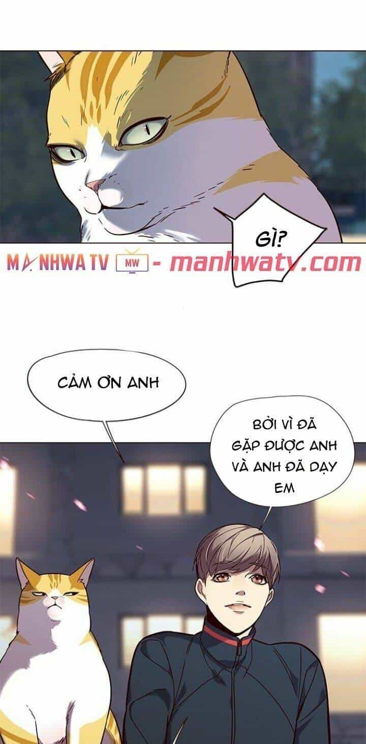 Hoá Thân Thành Mèo - Chương 91 - ảnh 59