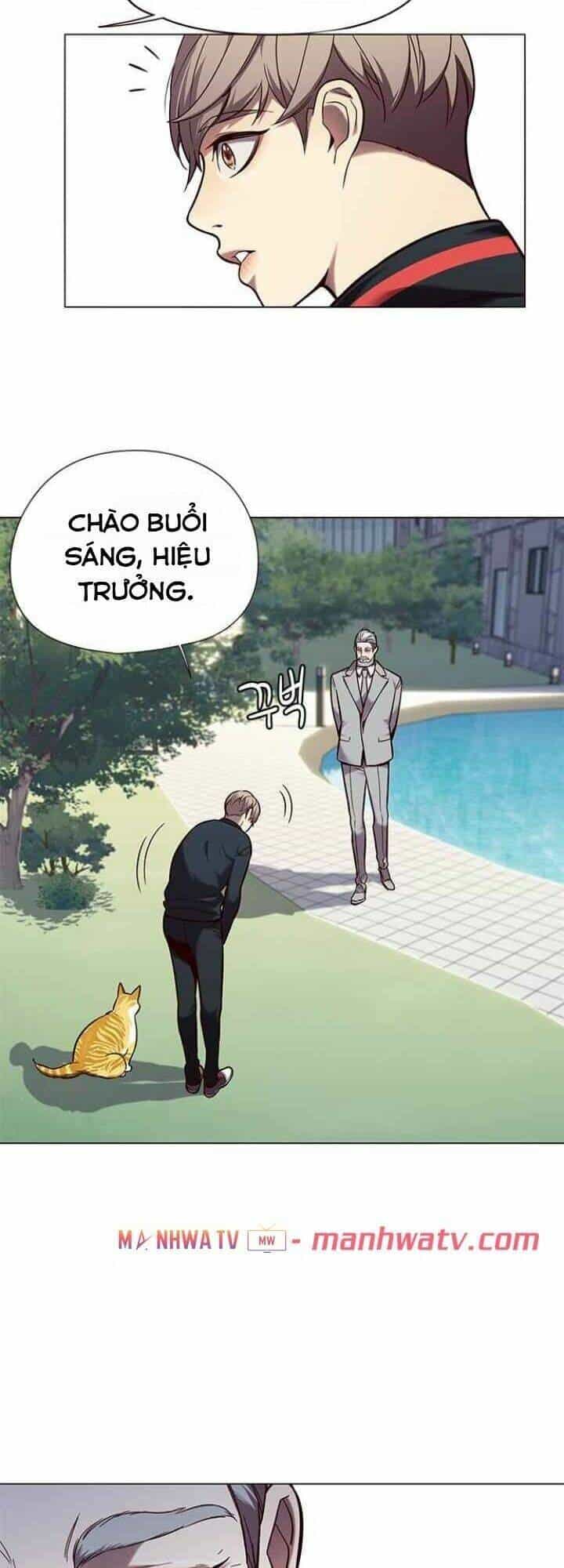 Hoá Thân Thành Mèo - Chương 92 - ảnh 24