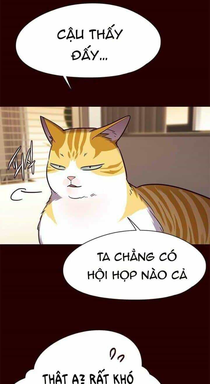 Hoá Thân Thành Mèo - Chương 96 - ảnh 12