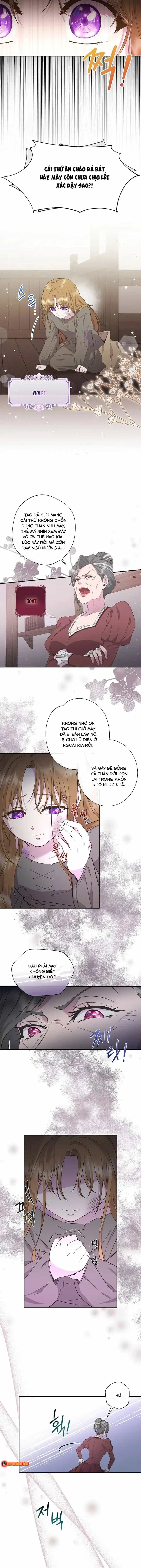 Hoa Tím Nở Nơi Vũng Lầy - Chương 1 - ảnh 6