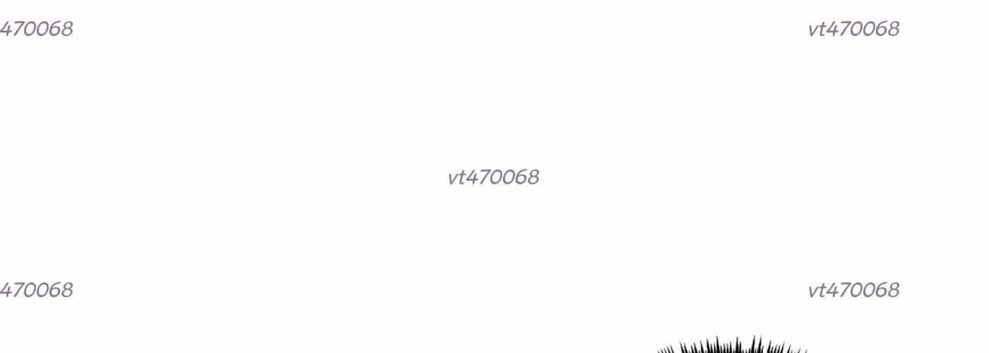 Hoàn Ác Vương Quyền Và Tự Do - Chương 13 - ảnh 13