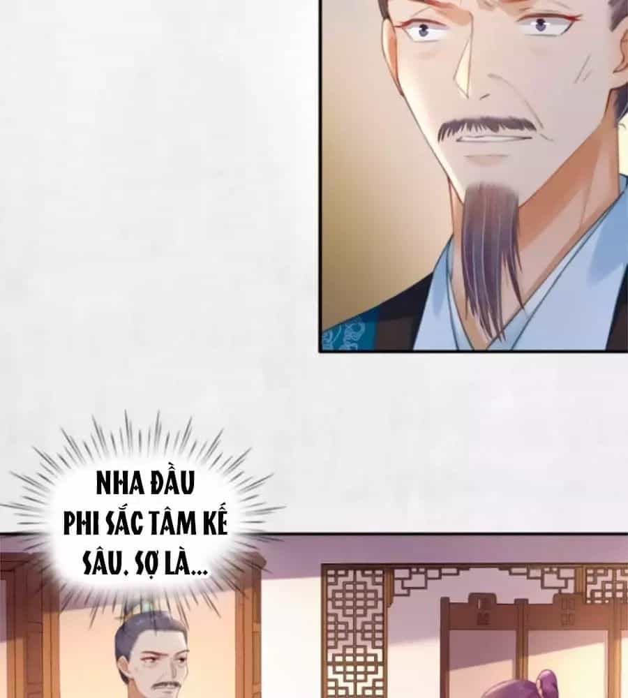 Hoạn Phi Hoàn Triều - Chương 31 - ảnh 11
