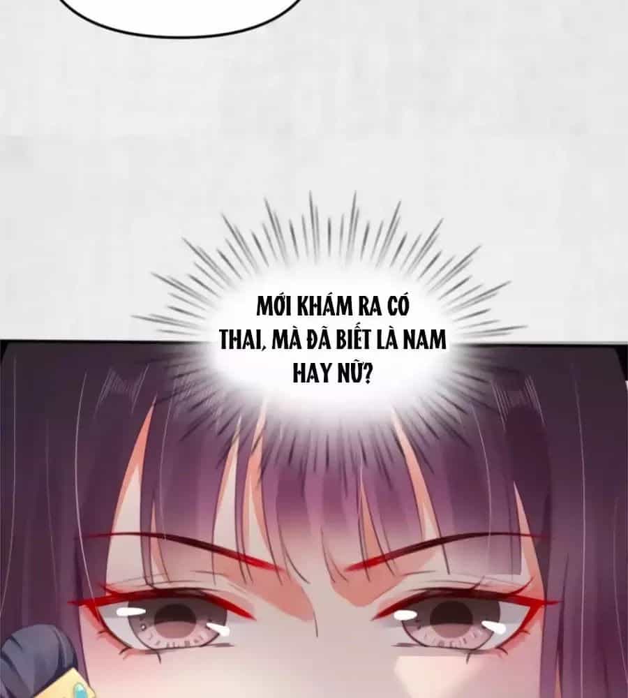 Hoạn Phi Hoàn Triều - Chương 31 - ảnh 26
