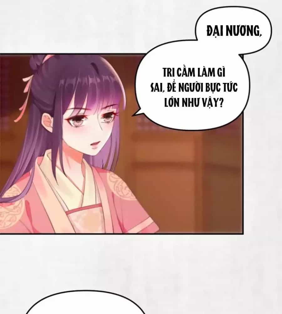 Hoạn Phi Hoàn Triều - Chương 31 - ảnh 43