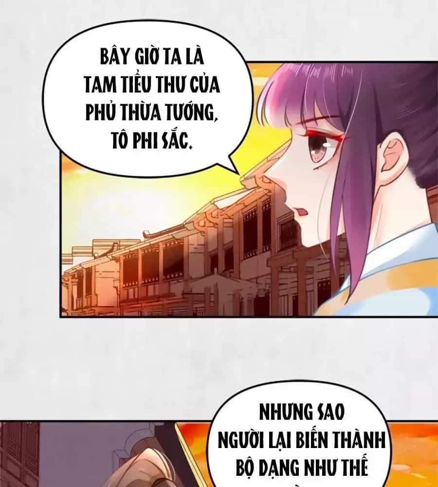Hoạn Phi Hoàn Triều - Chương 39 - ảnh 42