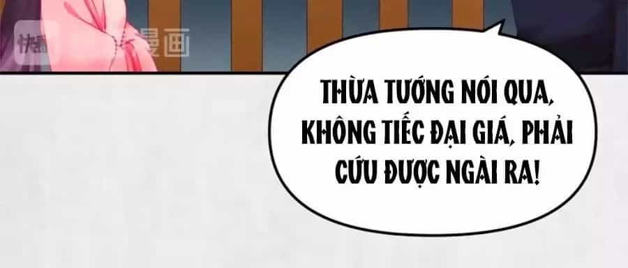 Hoạn Phi Hoàn Triều - Chương 47 - ảnh 41
