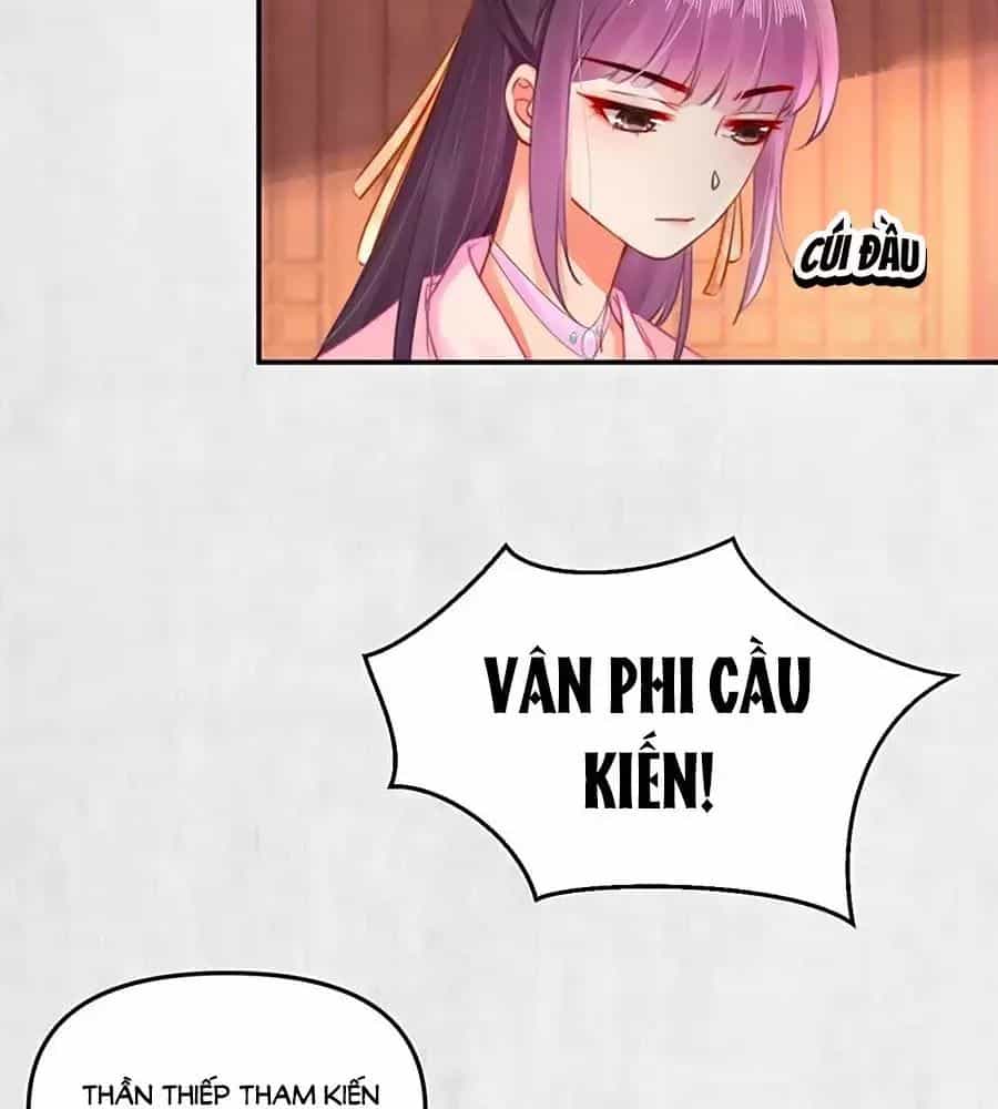 Hoạn Phi Hoàn Triều - Chương 49 - ảnh 19