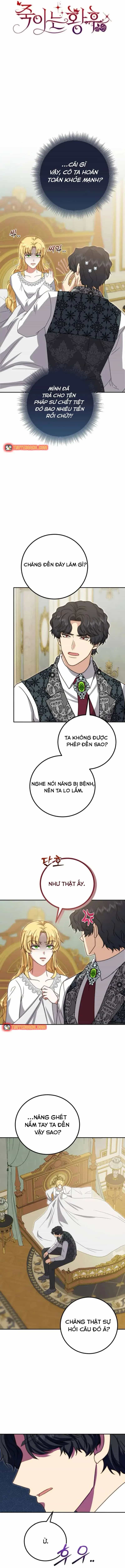 Hoàng Hậu Sát Thủ - Chương 35 - ảnh 12