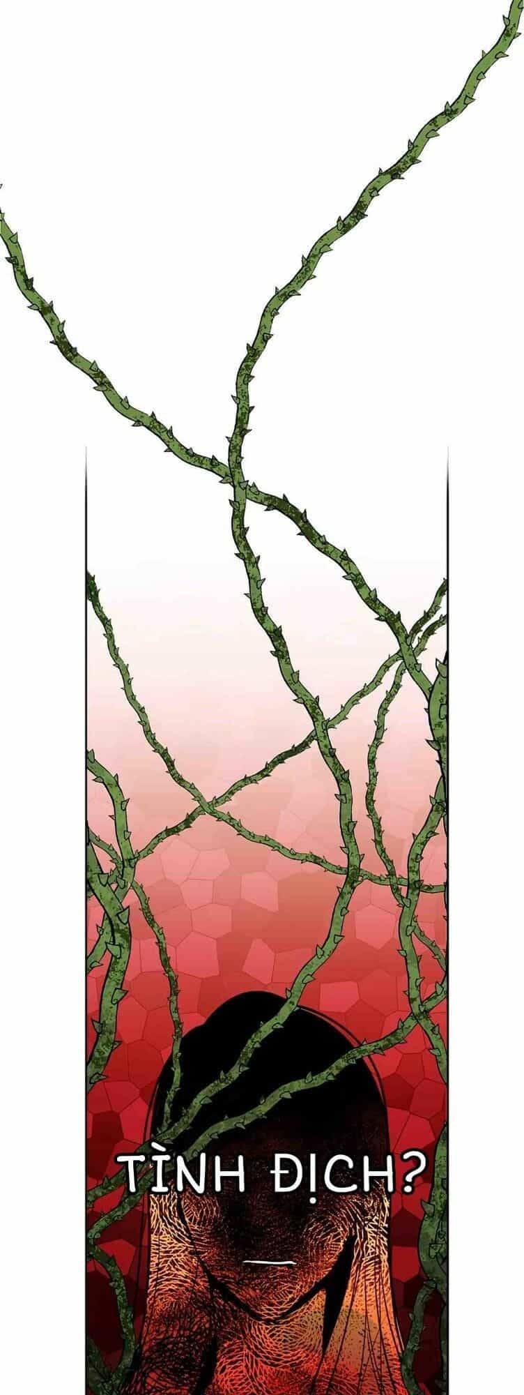 Hoàng Hậu Tái Hôn - Chương 8 - ảnh 3