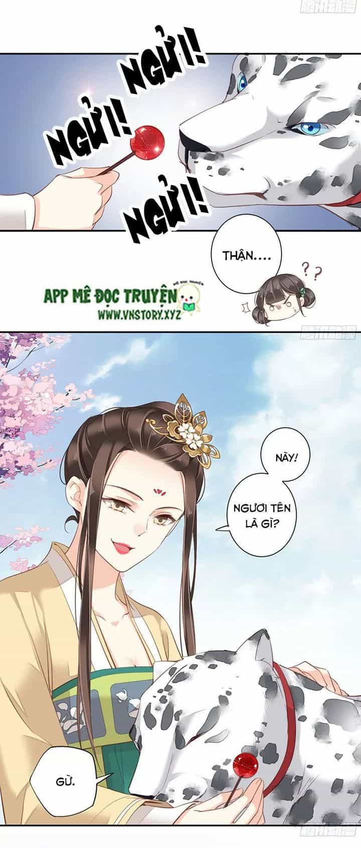 Hoàng Hậu Ương Bướng - Chương 172 - ảnh 24