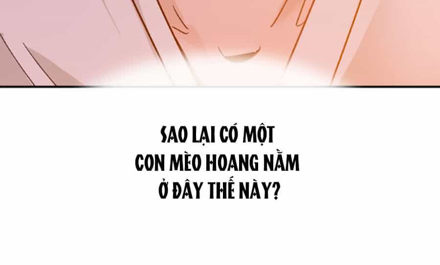 Hoàng Thượng! Hãy Sủng Ái Ta Đi! - Chương 5 - ảnh 4