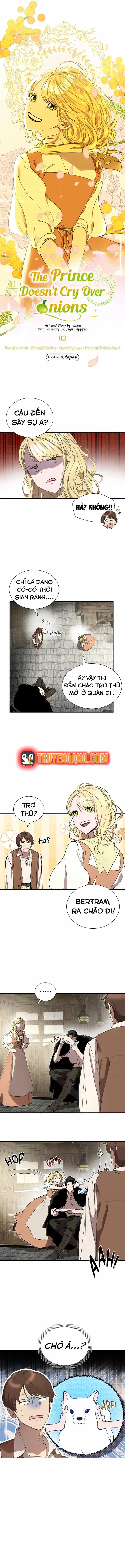 Hoàng Tử Không Khóc Vì Hành Tây - Chương 3 - ảnh 7
