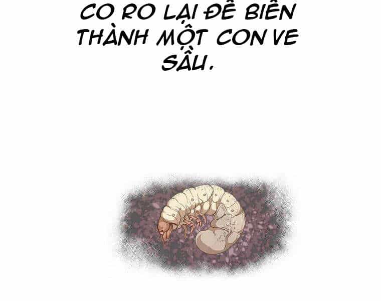 Hồi Quy Trở Lại Thành Kẻ Vô Dụng - Chương 21 - ảnh 133