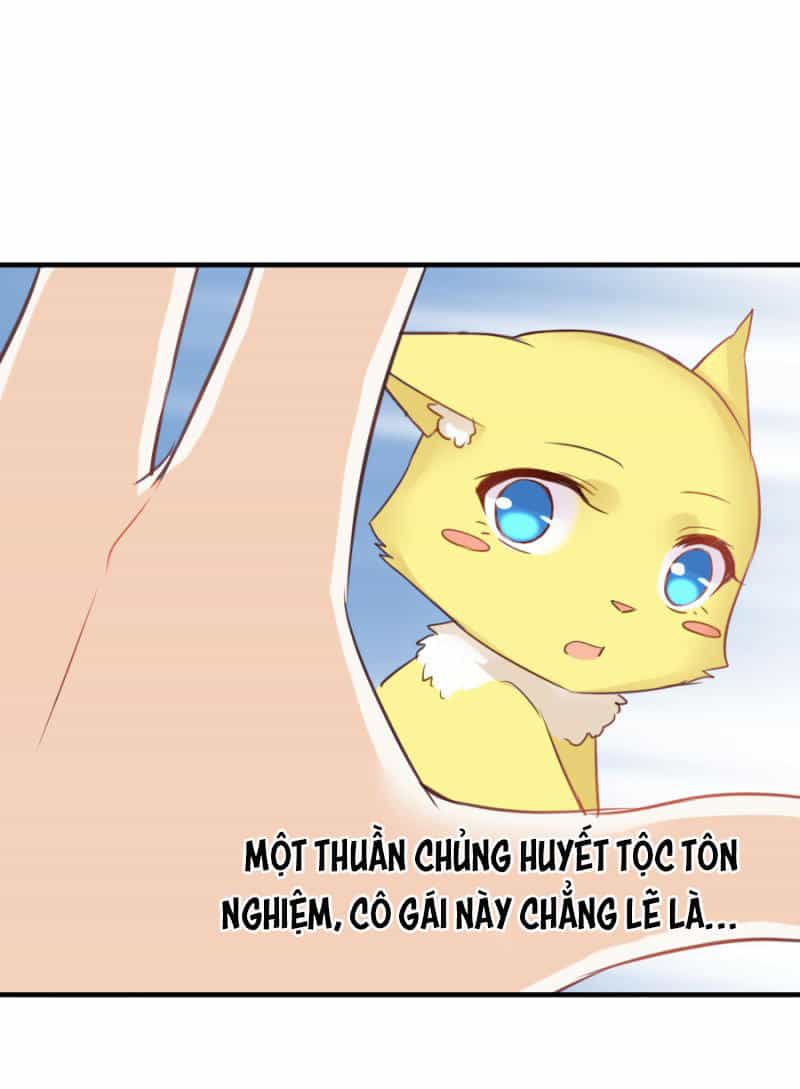 Hôm Nay Ta Cũng Muốn Trêu Chọc Nàng - Chương 31 - ảnh 17