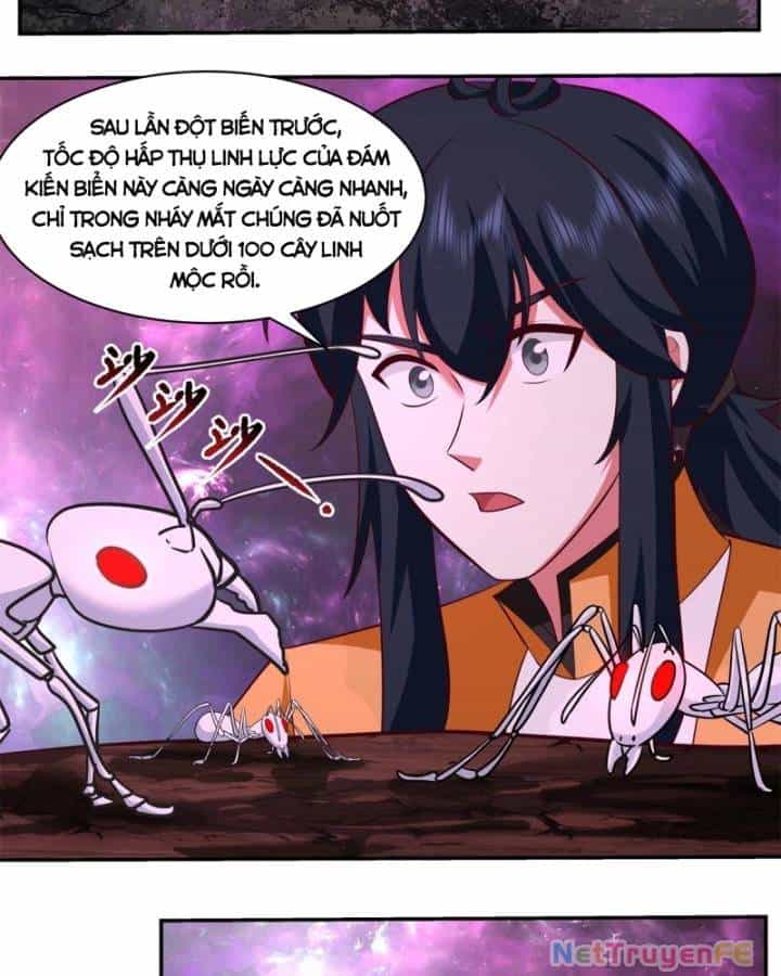 Hỗn Độn Đan Thần - Chương 439 - ảnh 4