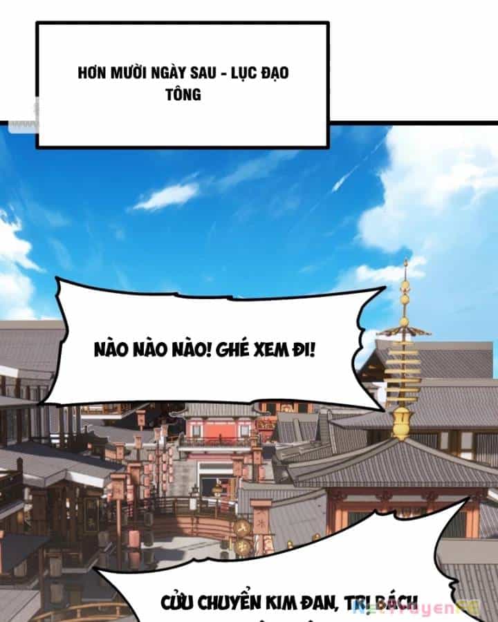 Hỗn Độn Đan Thần - Chương 493 - ảnh 8