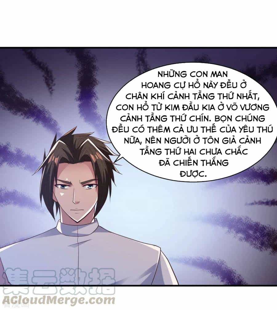 Hỗn Độn Kim Ô - Chương 51 - ảnh 4